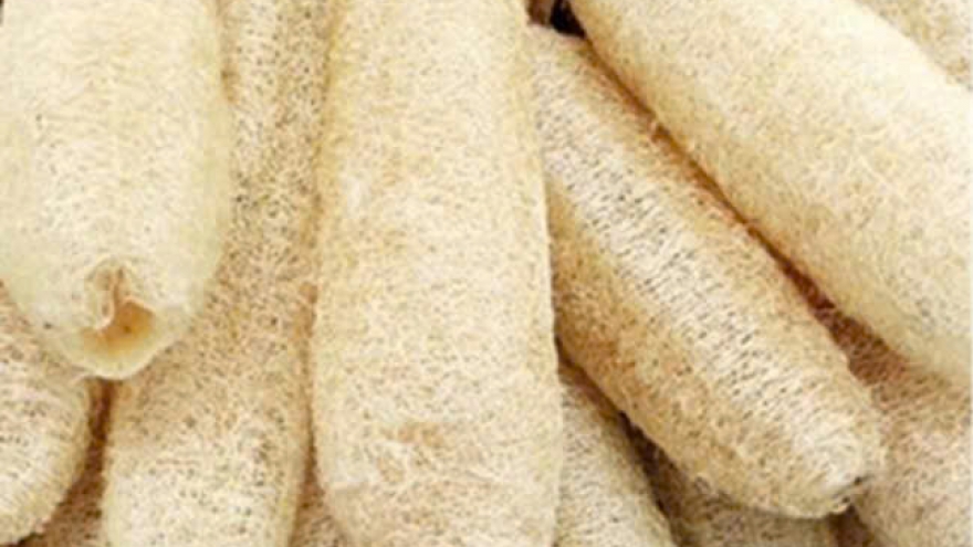 Phế phẩm từ loại quả quê nay thành “hàng hot” giá cao